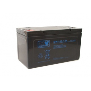 Akumulator MW Power MWP 100 Ah 12V